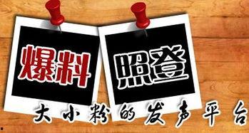 重慶最新爆料新聞,揭秘神秘事件背后的真相