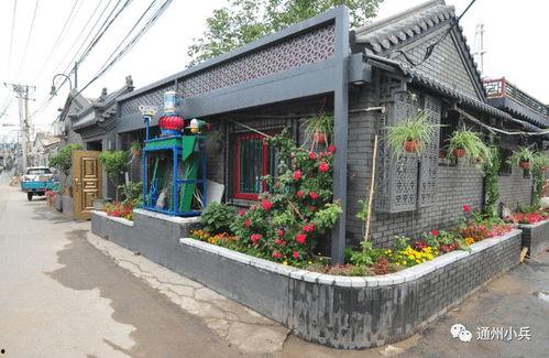 2025迷你最新皮膚爆料,炫彩登場，驚喜連連！