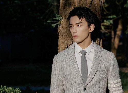 吳磊的最新消息爆料,揭秘當紅小生的幕后故事與未來計劃