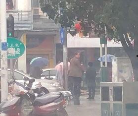 中山車禍最新爆料視頻播放,視頻揭示驚人細(xì)節(jié)，事故真相再引熱議